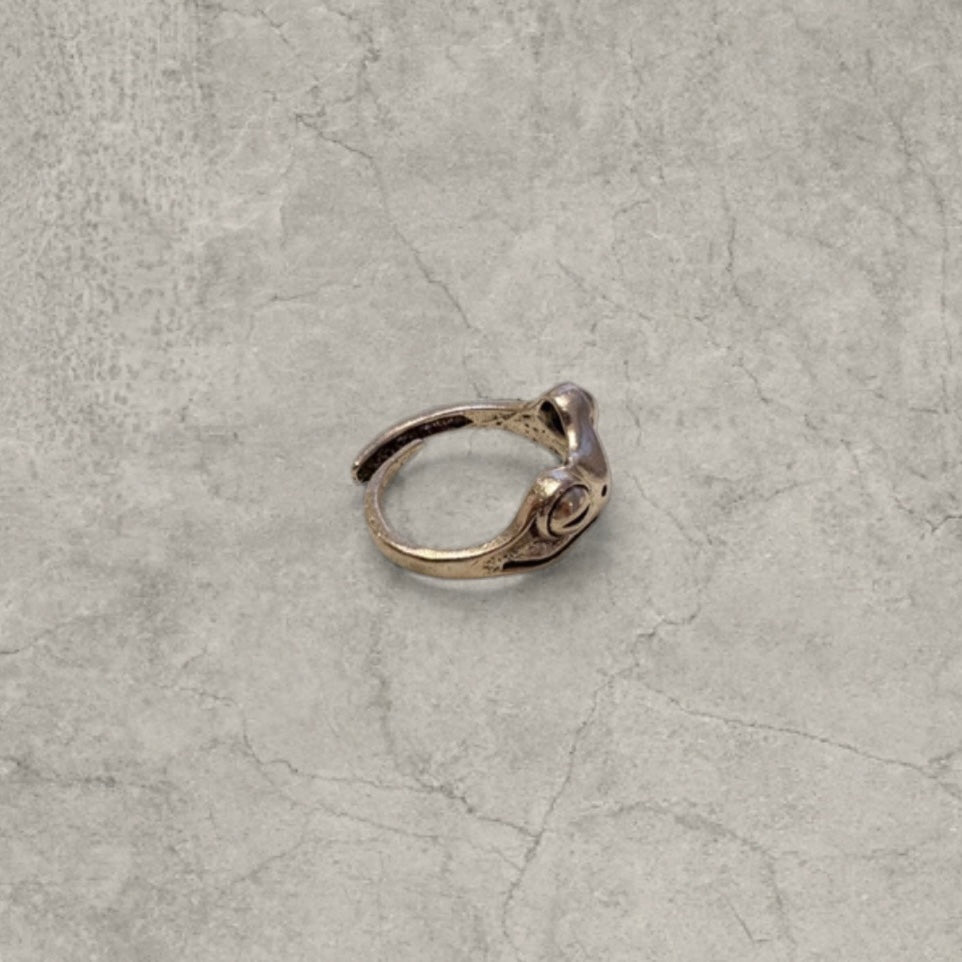 Cool vintage style silver stainless steel ring with frog animal face. One size, adjustable