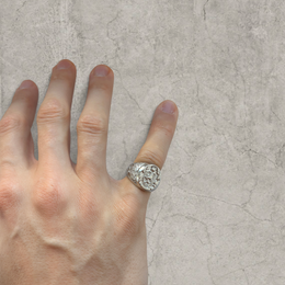 Silver stainless steel signet ring with engraved lion emblem