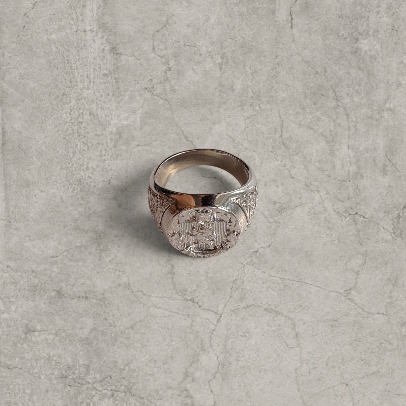 Silver stainless steel signet ring with engraved lion emblem