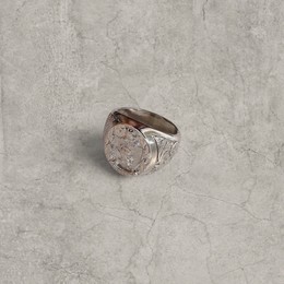 Silver stainless steel signet ring with engraved lion emblem