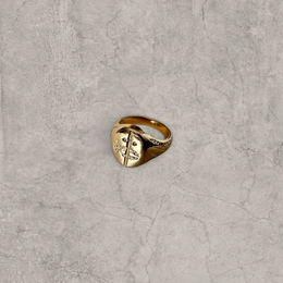 Colour stainless steel signet ring in gold with sword engraved emblem.