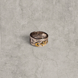 Colour stainless steel band ring with silver/gold star & diamanté.
