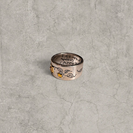 Colour stainless steel band ring with silver/gold star & diamanté.