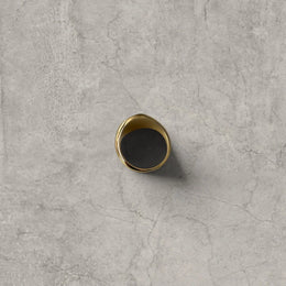 Cool vintage style gold colour stainless steel signet ring with engraved emblem.