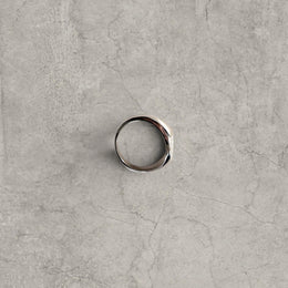 Cool vintage style silver colour stainless steel signet ring with engraved emblem.