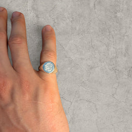 Cool vintage style silver colour stainless steel signet ring with engraved emblem.